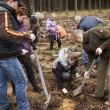 Mirosławiec pokazał, że jest 'Po stronie natury'