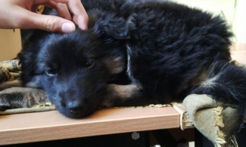 Z ulicy, przez szkołę, do nowego domu