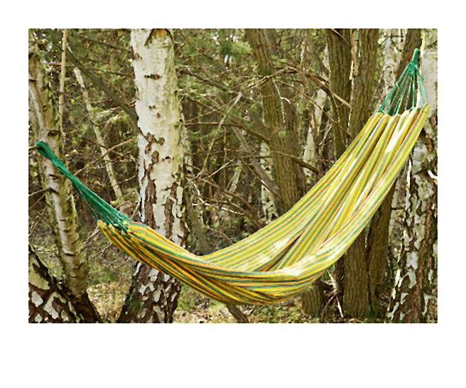 ___ty hamak ogrodowy-031-2014-05-27 _ 14_00_12-80