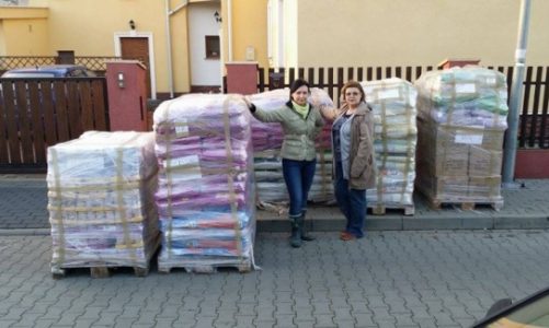 Rekordowa pomoc dla bydgoskich zwierzaków