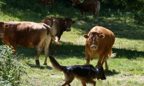 15 TYSIĘCY ZŁOTYCH DLA PRZYSTANI OCALENIE