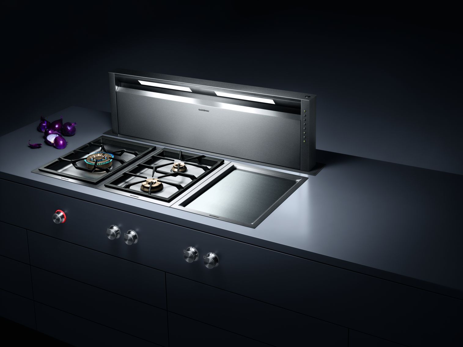 fot. Max-Fliz, urz_dzenia kuchenne Gaggenau Vario 400