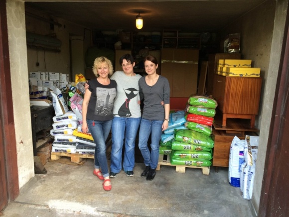 "AZOR" PRZYWIÓZŁ NAGRODY DO WROCŁAWIA Zwierzęta, LIFESTYLE - Wyjątkowa pomoc dla wrocławskich kotów od krakowskiego sklepu .