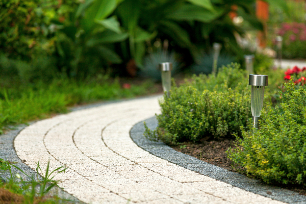 2_Kreta płukna buszrem2013_170-002-2015-06-17 _ 10_34_12-80