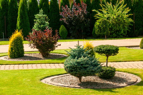 6_buszrem2013_054-006-2015-06-17 _ 10_32_12-80