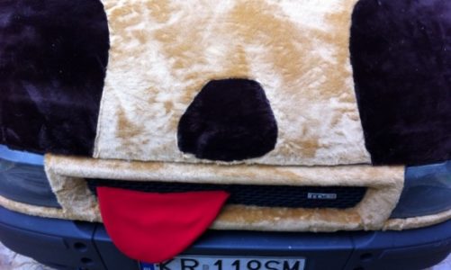 PODOPIECZNI FUNDACJI NASZA SZKAPA WYGRALI PRAWIE 15 TYSIĘCY ZŁOTYCH!