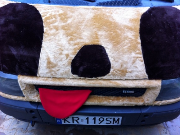 PODOPIECZNI FUNDACJI NASZA SZKAPA WYGRALI PRAWIE 15 TYSIĘCY ZŁOTYCH! Zwierzęta, LIFESTYLE - Zwierzęta znajdujące się pod troskliwą opieką Fundacji Nasza Szkapa nie będą musiały martwić się o swoją najbliższą przyszłość.