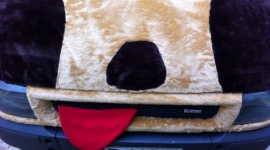 PODOPIECZNI FUNDACJI NASZA SZKAPA WYGRALI PRAWIE 15 TYSIĘCY ZŁOTYCH! Zwierzęta, LIFESTYLE - Zwierzęta znajdujące się pod troskliwą opieką Fundacji Nasza Szkapa nie będą musiały martwić się o swoją najbliższą przyszłość.