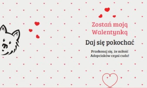 Daj się pokochać na Walentynki