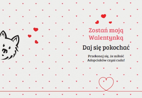 Daj się pokochać na Walentynki Zwierzęta, LIFESTYLE - Walentynki to czas, kiedy wyznajemy sobie miłość i dzielimy się z najbliższymi pozytywnymi emocjami. To także doskonała okazja, aby dopiero odnaleźć swoją drugą połówkę.