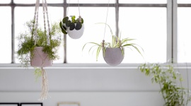 Letnie wieczory na tarasie lub balkonie – jak nastrojowo urządzić tę przestrzeń? Dom, LIFESTYLE - Dni stają się dłuższe i cieplejsze, dlatego coraz więcej czasu chcemy spędzać na świeżym powietrzu. Miejscem, które pozwoli nam delektować się dniem pełnym słońca czy ciepłą nocą, oraz stanowi doskonałą przestrzeń do relaksu jest balkon lub taras.