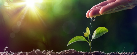 Kapitał na start dla najlepszych projektów agrotech Rolnictwo, BIZNES - AgriTech Hub – pierwszy polski fundusz venture capital w pełni dedykowany branży agrotech – rozpoczyna poszukiwania innowacyjnych projektów związanych z sektorem rolno-spożywczym. Maksymalna kwota dofinansowania projektu może wynieść do 3 mln złotych.