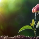 Kapitał na start dla najlepszych projektów agrotech