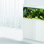 Lśniąca elegancja w nowej odsłonie – zestaw akwariowy GLOSSY WHITE