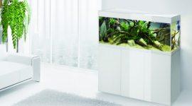Lśniąca elegancja w nowej odsłonie – zestaw akwariowy GLOSSY WHITE