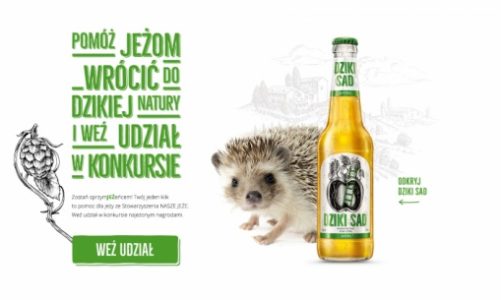 Zostań sprzymJEŻeńcem! – Nowa akcja Dzikiego Sadu