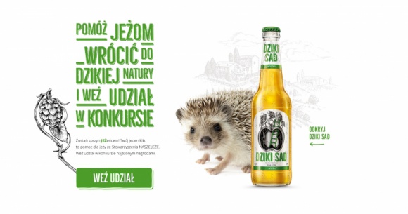 Zostań sprzymJEŻeńcem! - Nowa akcja Dzikiego Sadu Zwierzęta, LIFESTYLE - Nie każdy wie, że jeże są dziś zagrożone całkowitym wyginięciem. Choć w Polsce objęte są ochroną ścisłą, by przetrwać – potrzebują zdecydowanie większego zaangażowania ze strony człowieka. Dziki Sad aktywnie włącza się w pomoc dla tych pożytecznych zwierząt.