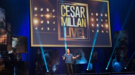 Cesar Millan i psy w nowym programie na kanale Nat Geo People Zwierzęta, LIFESTYLE - Mówi się, że pies jest najlepszym przyjacielem człowieka. Jednakże, niewłaściwie wychowany może stać się jego koszmarem. We wrześniu, słynny psi behawiorysta Cesar Millan, zagości na kanale Nat Geo People.