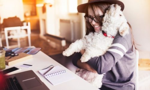 Jak wybrać psa do małego mieszkania?