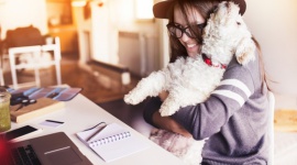 Jak wybrać psa do małego mieszkania? Dom, LIFESTYLE - Planując obecność czworonoga w mieszkaniu, powinniśmy wziąć pod uwagę istotne kwestie lokatorskie. Niemniej ważna jest rasa i usposobienie naszego nowego przyjaciela.