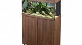 Kreowanie podwodnego pejzażu z ekskluzywnym zestawem akwariowym ASPECT Dom, LIFESTYLE - Akwarystyka to hobby sięgające czasów przed naszą erą. Wymaga od właściciela właściwej pielęgnacji i codziennej opieki, jednak wydaje się to niewielkim poświęceniem w porównaniu do zdumiewających efektów, jakie otrzymujemy.