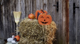 Jesienny gadżet: Halloween’owy koszyk na cukierki