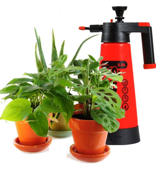Kwazar Venus Super 360 idealny przy pielegnacji roślin doniczkowych Dom, LIFESTYLE - Venus Super 360 firmy Kwazar jest idealny do pielęgnacji roślin domowych. To ręczny opryskiwacz ciśnieniowy wyposażony w system 360o, który umożliwia aplikację cieczy niezależnie od pozycji opryskiwacza, nawet po odwróceniu zbiornika do góry dnem.