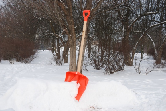 Podstawa to odpowiedni sprzęt! Dom, LIFESTYLE - Mieć dom z ogródkiem, to marzenie wielu z nas. Są tacy, którym udaje się je zrealizować.