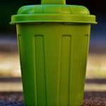 Jak prawidłowo segregować śmieci, by pomóc naturze?