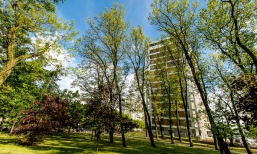 MdM w 2017 roku się skończyło? Nie w Poznaniu!