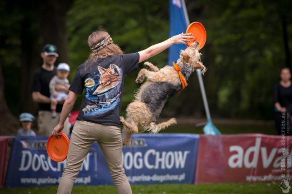 Weekend z Latającymi psami we Wrocławiu Zwierzęta, LIFESTYLE - Już w nadchodzący weekend, 3-4 czerwca, we wrocławskim Parku Południowym odbędą się Zawody Latających Psów.