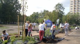 Skwer przy ul. Mireckiego na warszawskiej Woli ma nowe meble miejskie i rośliny BIZNES, Ochrona środowiska - Przez cały dzień u zbiegu ulic Mireckiego i Gibalskiego wolontariusze Skanska Residential Development Poland montowali drewniane meble, sadzili rośliny, odświeżali zatarte linie na pobliskim boisku oraz malowali gry dla dzieci.