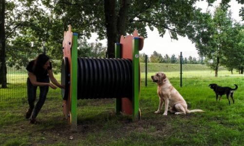 Rusza strefa treningowa dla psów w Porcie Łódź