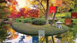 Kolory do towarzystwa w ogrodzie na jesień i zimę Dom, LIFESTYLE - Kolory do towarzystwa w ogrodzie na jesień i zimę