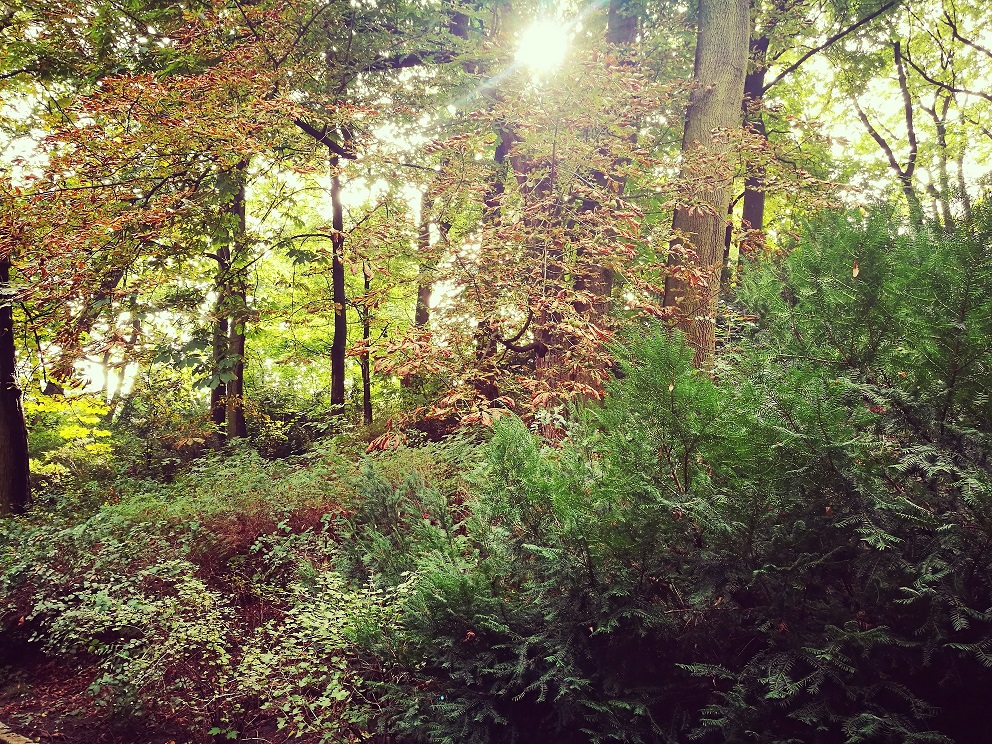 Jesień ” ostatni moment na ocieplenie domu, jeszcze w tym roku!