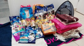 Dary trafiły do schroniska dla bezdomnych zwierząt Zwierzęta, LIFESTYLE - Zwierzęta ze schroniska w Bielsko-Białej też będą miały Święta! 22 grudnia prezenty dla czworonogów, zabrane w bielskiej restauracji Makarun, trafiły na ul. Reksia.