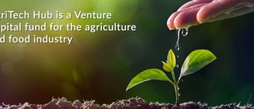MIT Enterprise Forum Poland i Fundusz AgriTech Hub pomogą polskim startupom