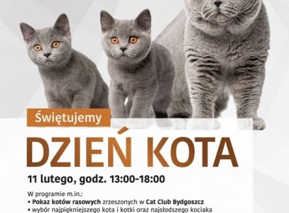 Kocie piękności w Zielonych Arkadach