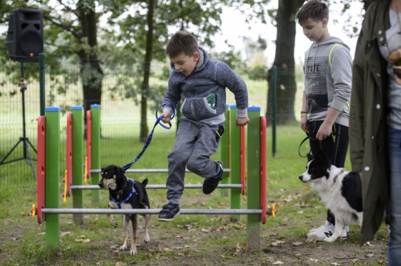 Przekonaj się ile potrafi Twój pies! Zwierzęta, LIFESTYLE - Spotkanie z psim behawiorystą w Porcie Łódź