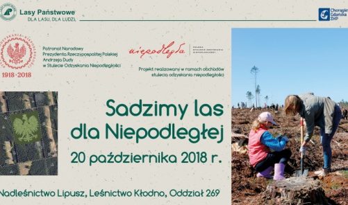 Sadzimy Las dla Niepodległej – Bijemy Rekord Polski