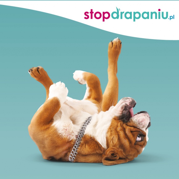 Niewinna zabawa? A może bardzo swędzi?! Kampania ,,STOP DRAPANIU'' Zwierzęta, LIFESTYLE - Jeśli twój pies często się drapie, liże, ociera lub gryzie łapy, nie ignoruj objawów - to może być alergia! Wystartowała III edycja ogólnopolskiej akcji społeczno-edukacyjnej ,,STOP DRAPANIU’’.