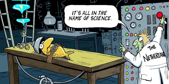 Organizacje ekologiczne chcą wszczęcia dochodzenia w sprawie połowów prądem BIZNES, Ochrona środowiska - 23 organizacje ekologiczne i reprezentujące rybaków z złożyły wniosek do Europejskiego Urzędu ds. Zwalczania Nadużyć Finansowych o wszczęcie dochodzenia w sprawie podejrzenia o nadużycia finansowe holenderskich rybaków poławiających prądem.