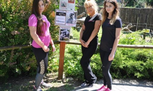 Mrs. Sporty z Zamościa adoptowała lemura