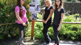 Mrs. Sporty z Zamościa adoptowała lemura Zwierzęta, LIFESTYLE - Nie antylopa, nie łania ani gazela zostały wybrane na maskotkę klubu Mrs. Sporty w Zamościu, ale lemur! Powód jest oczywisty - nikt tak śmiało nie wygina ciała. Od maja klub fitness jest opiekunem jednego z tych sympatycznych futrzaków przebywających w zamojskim ZOO.