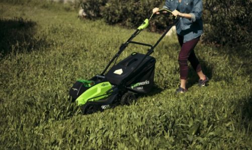 Jesienna kosmetyka ukochanego trawnika