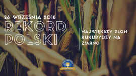 Razem dla Rekordów Polski - bijemy oficjalny rekord w plonie ziarna! Rolnictwo, BIZNES - Z inicjatywy połączonych sił wiodących europejskich dostawców najlepszych rozwiązać dla rolnictwa: CLAAS, IGP Polska, K+S Polska podjęto decyzję o próbie pobicia aktualnego i ustanowieniu nowego oficjalnego Rekordu Polski w plonie kukurydzy uprawianej na ziarno.