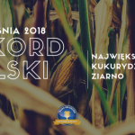 Razem dla Rekordów Polski – bijemy oficjalny rekord w plonie ziarna!
