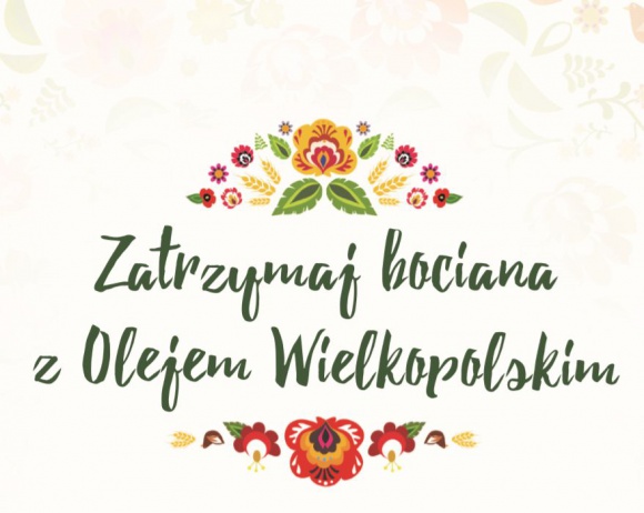 Tam gdzie stołują się bociany - raport PTOP Zwierzęta, LIFESTYLE - Producent Oleju Wielkopolskiego i Polskie Towarzystwo Ochrony Ptaków udostępniają wyniki badań prowadzonych w ramach projektu ”Zatrzymaj bociana z Wielkopolskim”