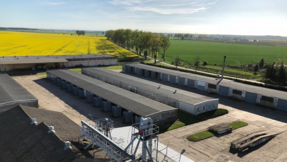 Jak rodzinne gospodarstwo stało się regionalną potęgą Rolnictwo, BIZNES - Miłoradz – ta niewielka miejscowość w pow. malborskim może pochwalić się jednym z największych gospodarstw w województwie pomorskim. Ponad 800 sztuk bydła i 1000 ha powierzchni – tak w największym skrócie prezentuje się gospodarstwo „Delta-Agro” rodziny Tymców.