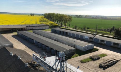 Jak rodzinne gospodarstwo stało się regionalną potęgą